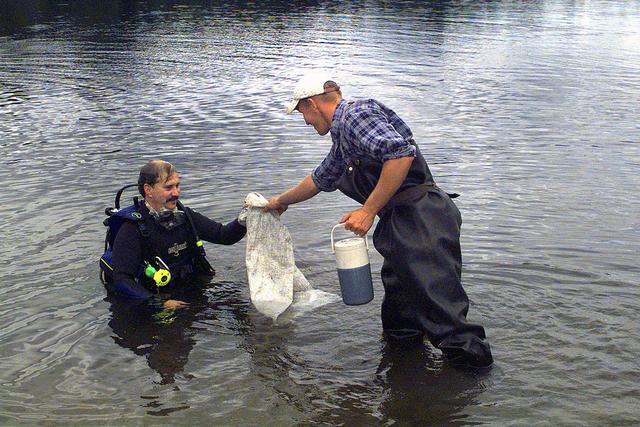 Researchers collecting invasive Eurasian Watermilfoil from a lake